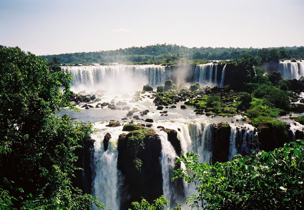 tour Brasile cacate Iguazu